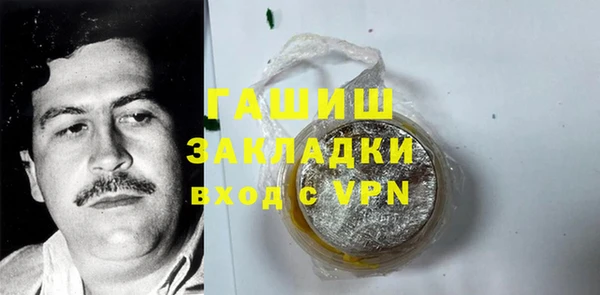 хмурый Пересвет