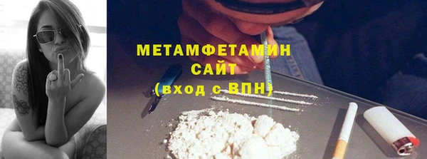 хмурый Пересвет