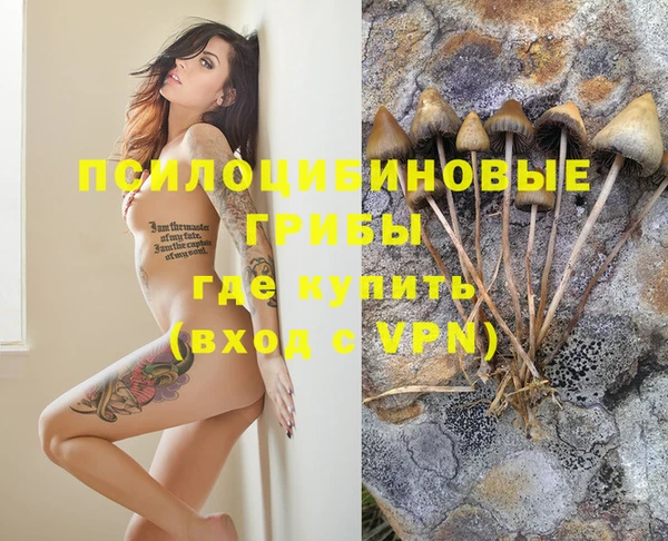 хмурый Пересвет