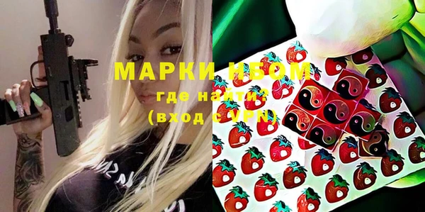 хмурый Пересвет