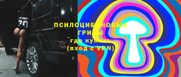 хмурый Пересвет
