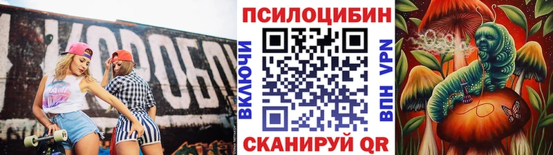 mega вход  Корсаков  Галлюциногенные грибы Psilocybine cubensis  darknet наркотические препараты  магазин   