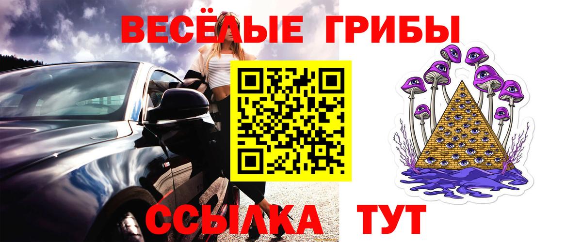 Галлюциногенные грибы Magic Shrooms  Псилоцибиновые грибы GOLDEN TEACHER  Вход с VPN  Корсаков 