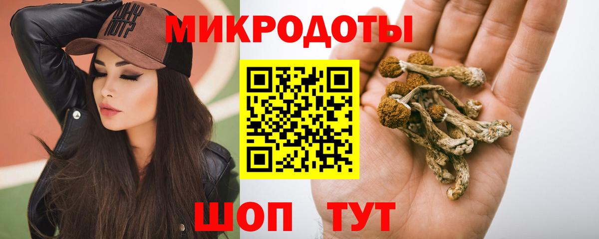 Галлюциногенные грибы Psilocybe Корсаков